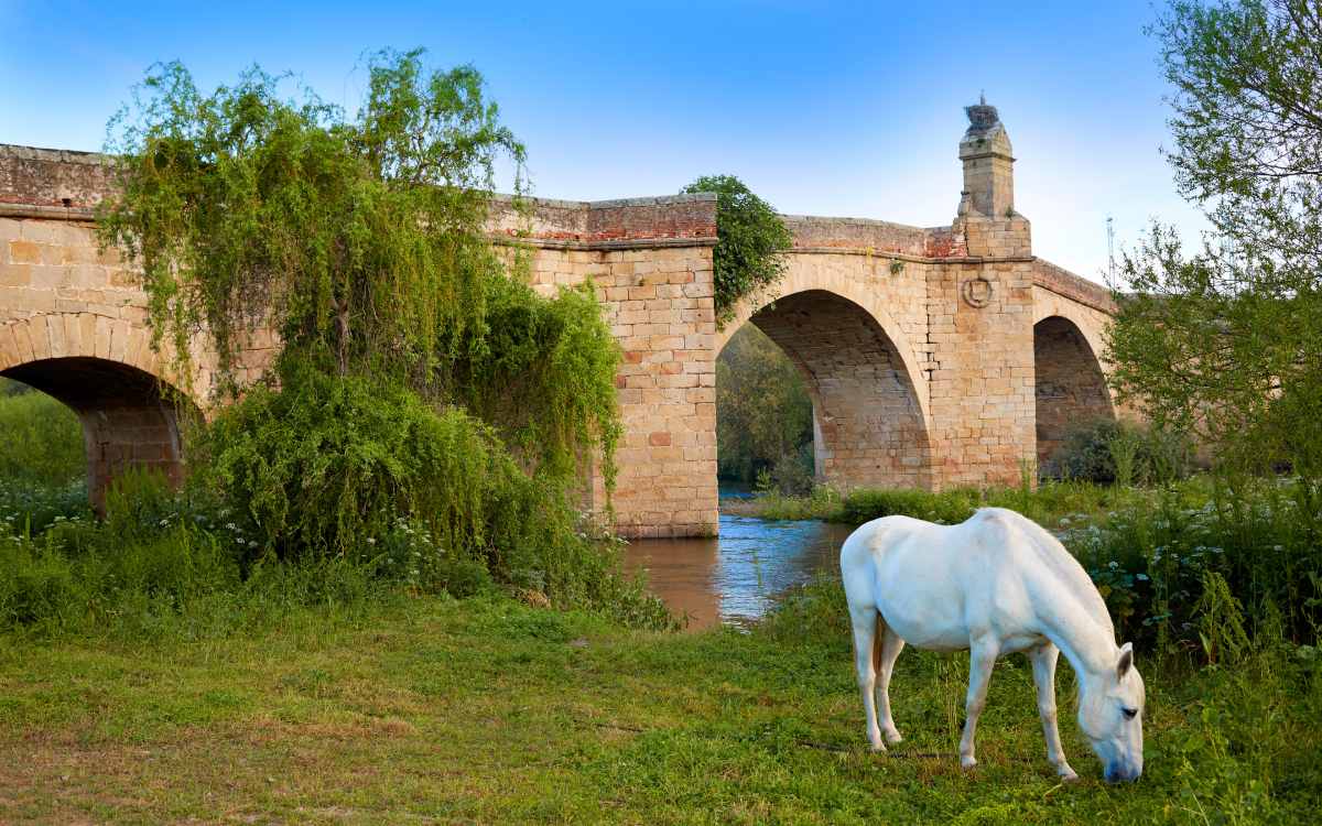 Galisteo, Cáceres.