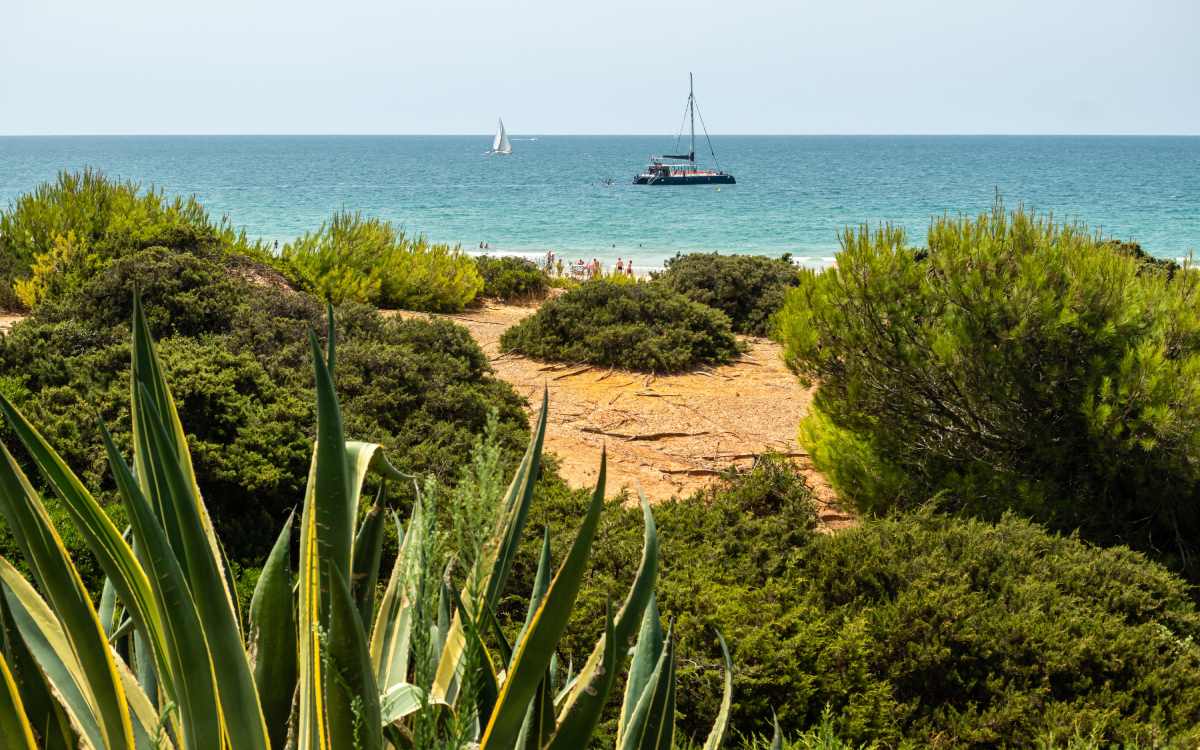 La Barrosa beach, Sancti Petri.
