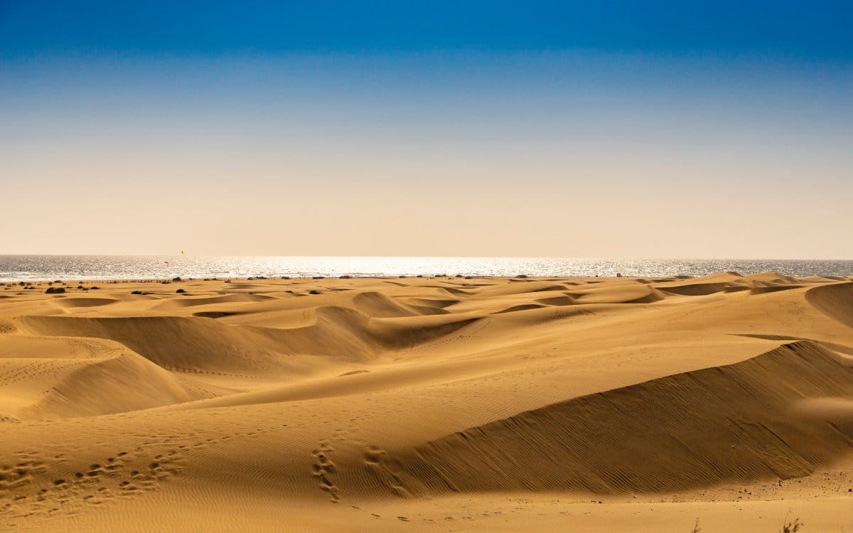 Dunes of Maspalomas.