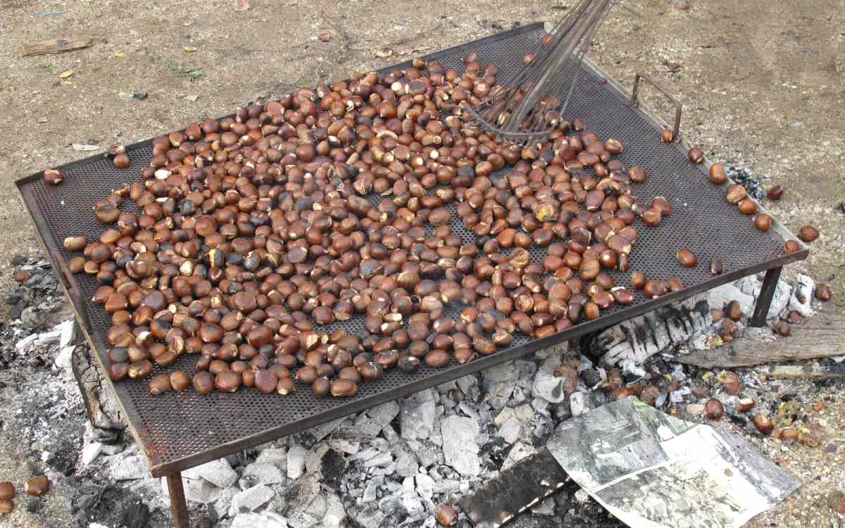 Magosto in Galicia.