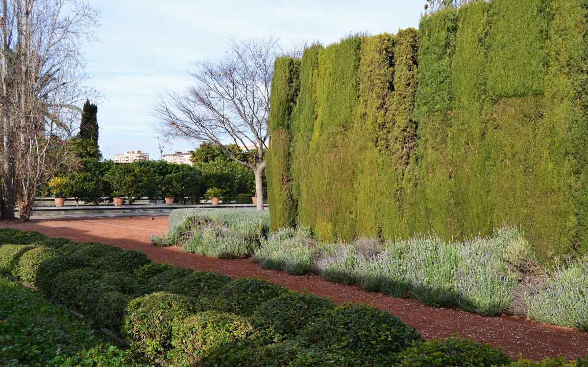 Garden of the Hesperides.