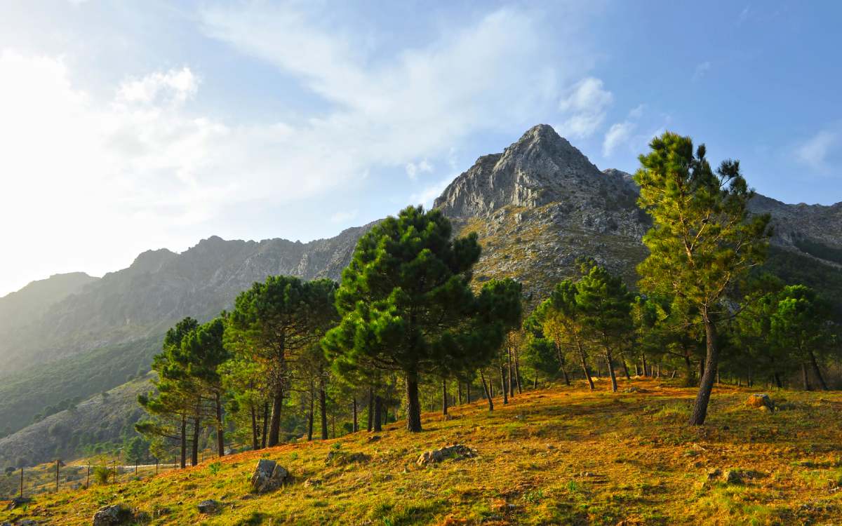 Sierra de Grazalema Natural Park.
