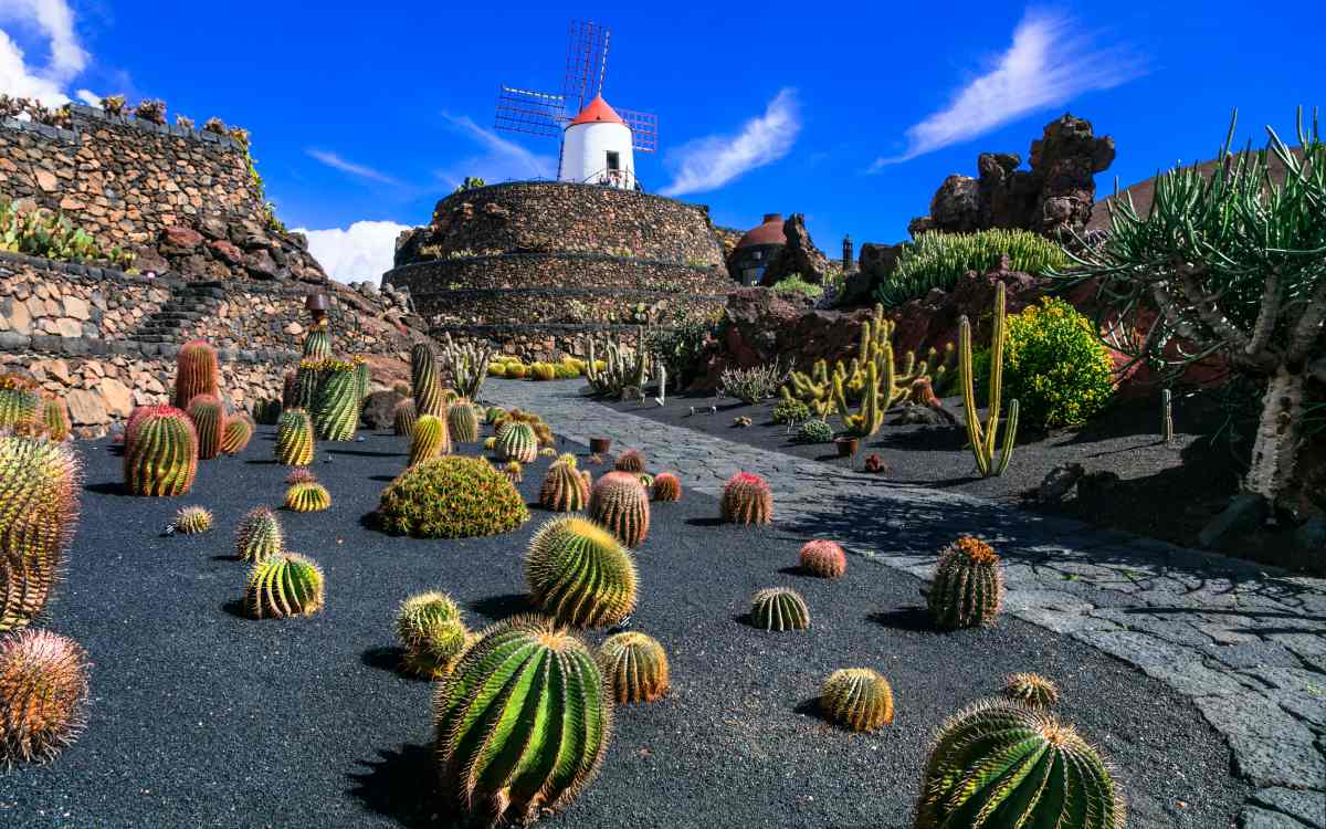 Lanzarote.