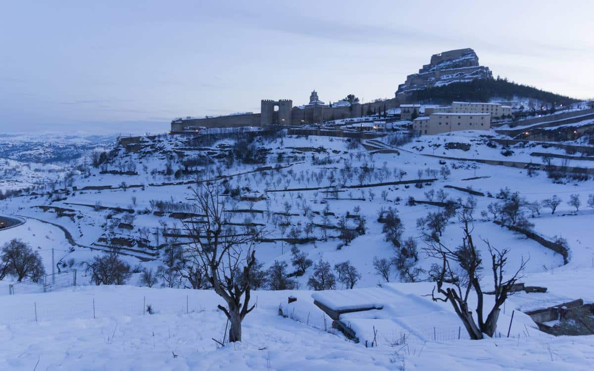 Morella.