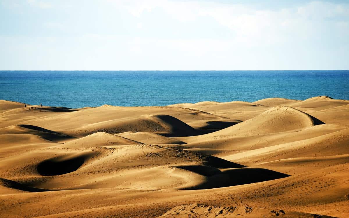 Dunes of Maspalomas.