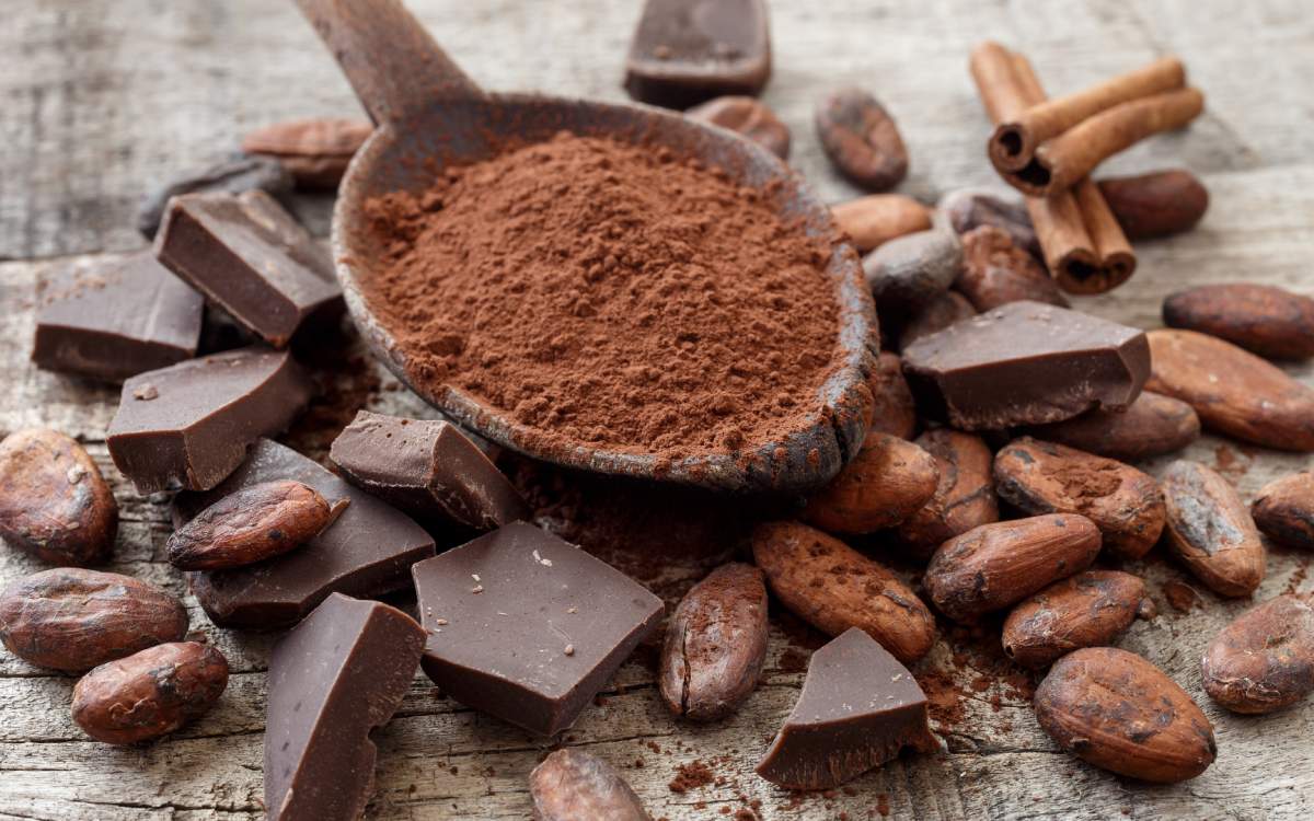 Cocoa seeds.