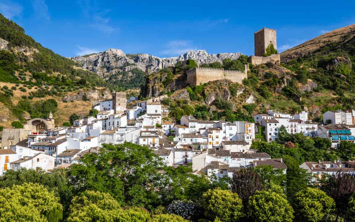 Cazorla.