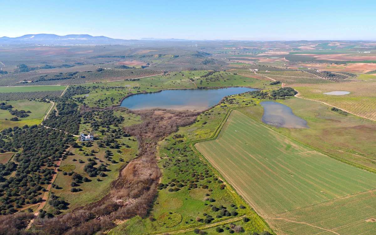 Tíscar Lagoon.