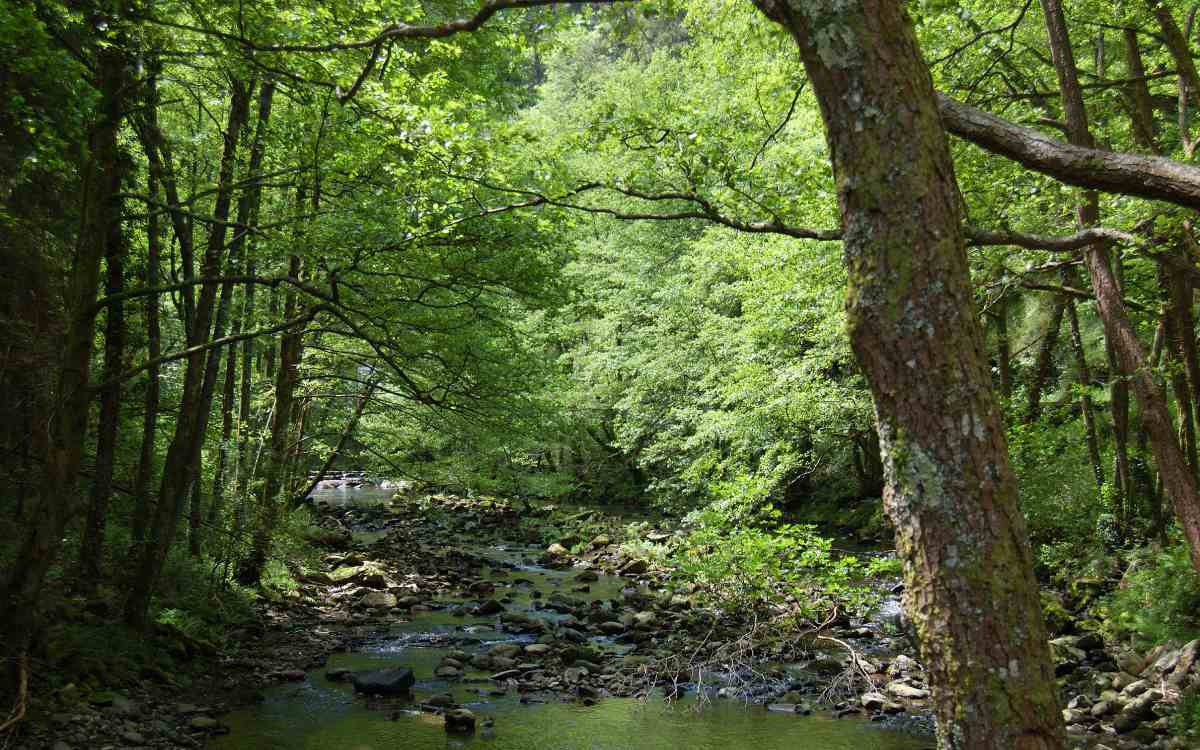 Leitzaran Valley.