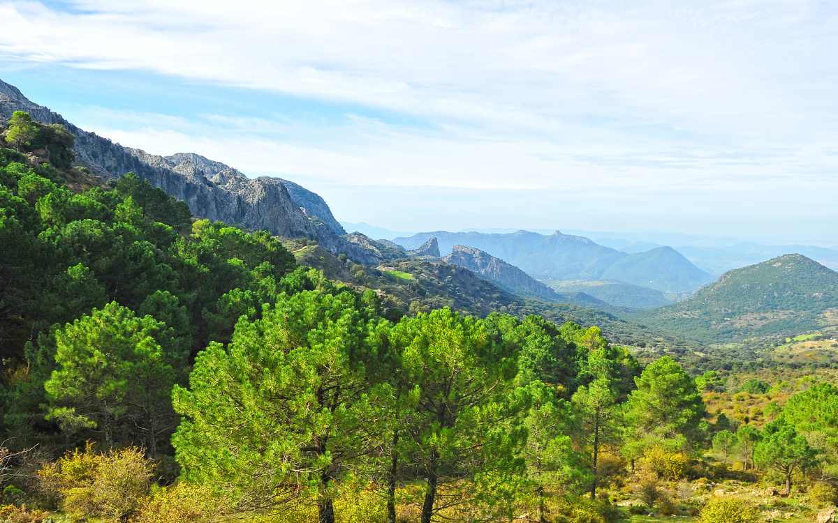 Sierra de Grazalema Natural Park.