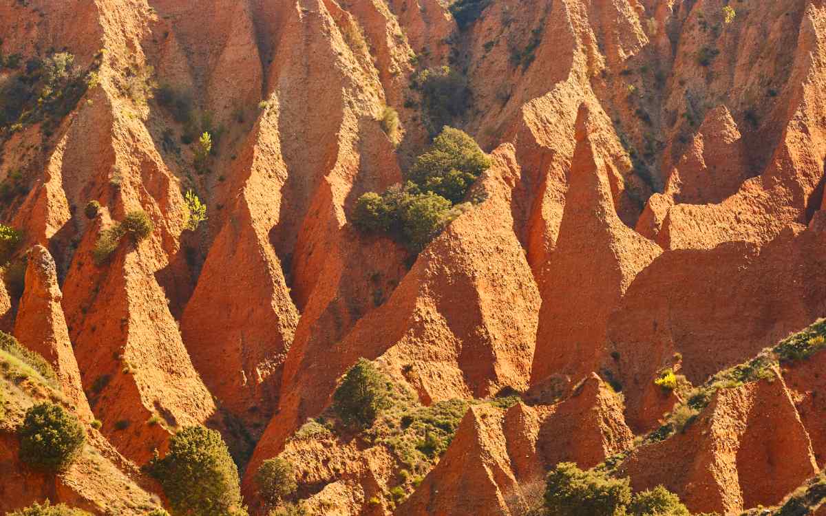 Las Cárcavas.