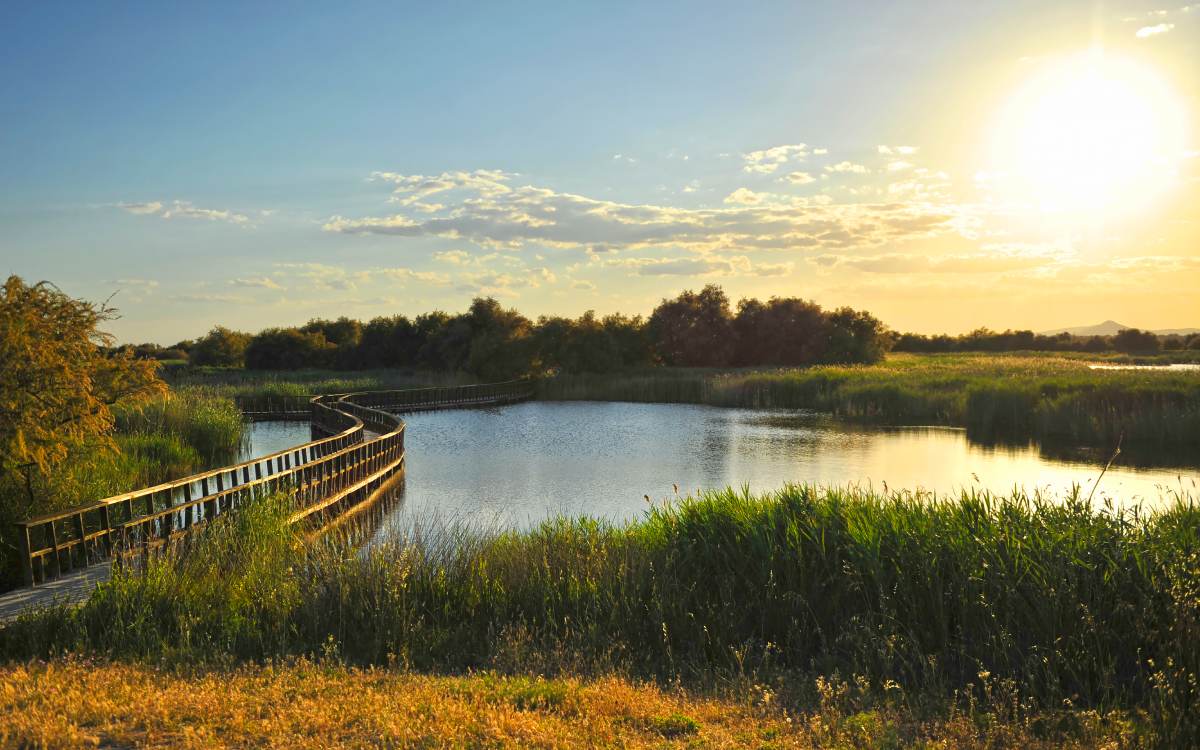 Tablas de Daimiel Natural Park.