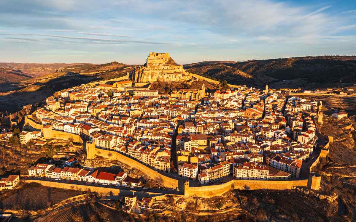 Morella.