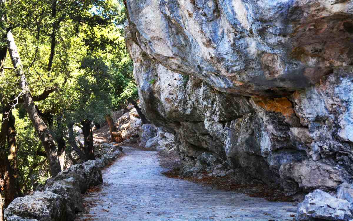 Stone path at Lluc.