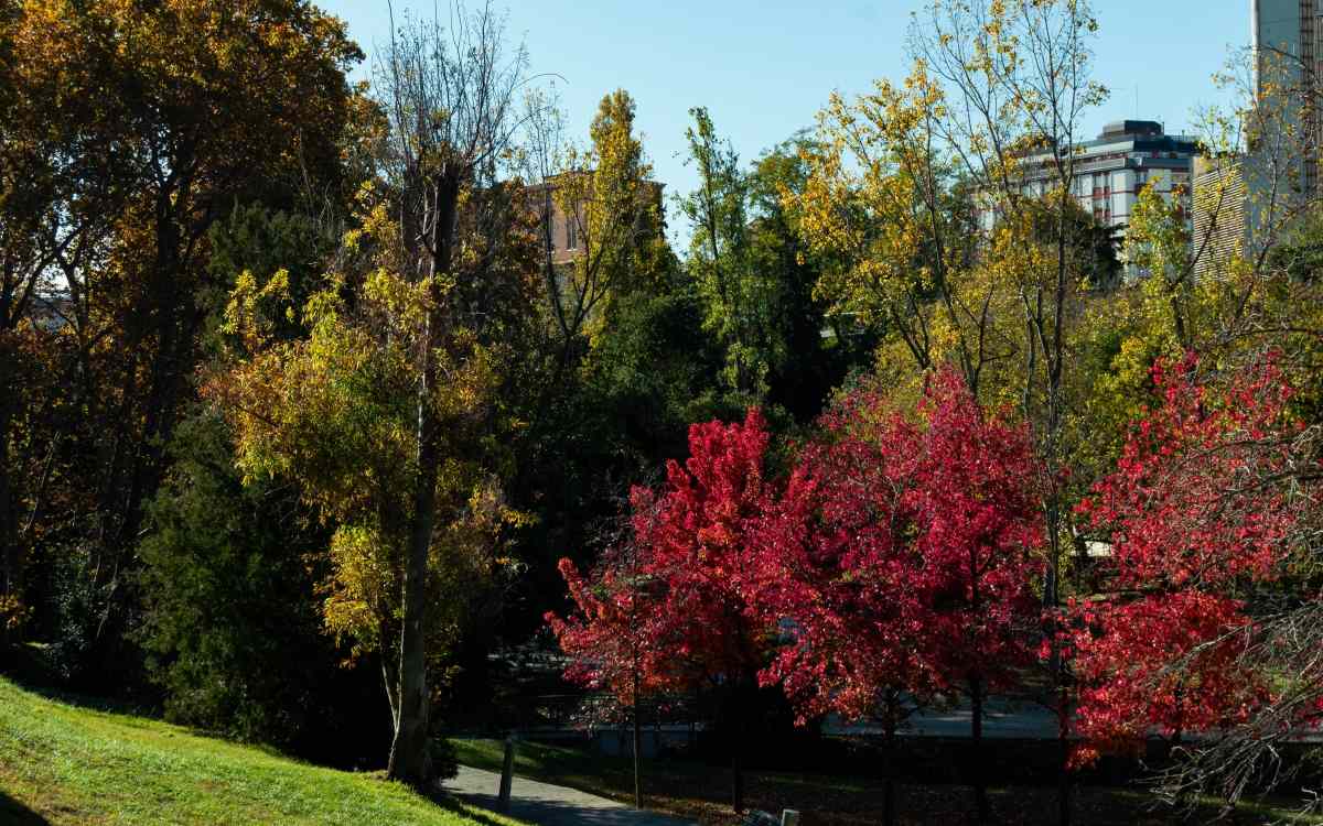 Vallparadís Park.