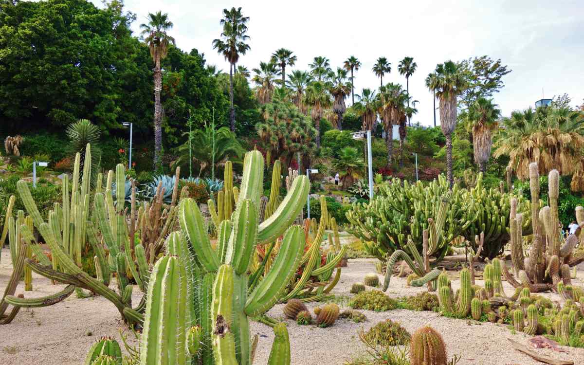 Gardens at Montjuïc.