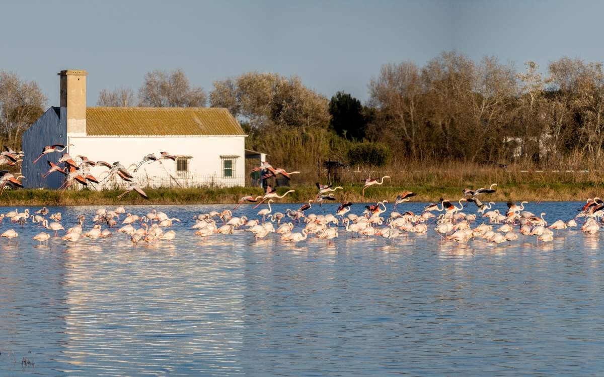 Albufera Natural Park