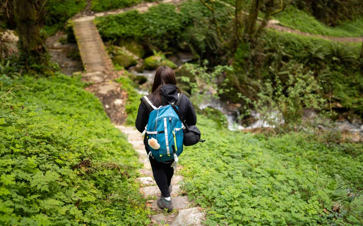 Pilgrim on the Camino de Santiago