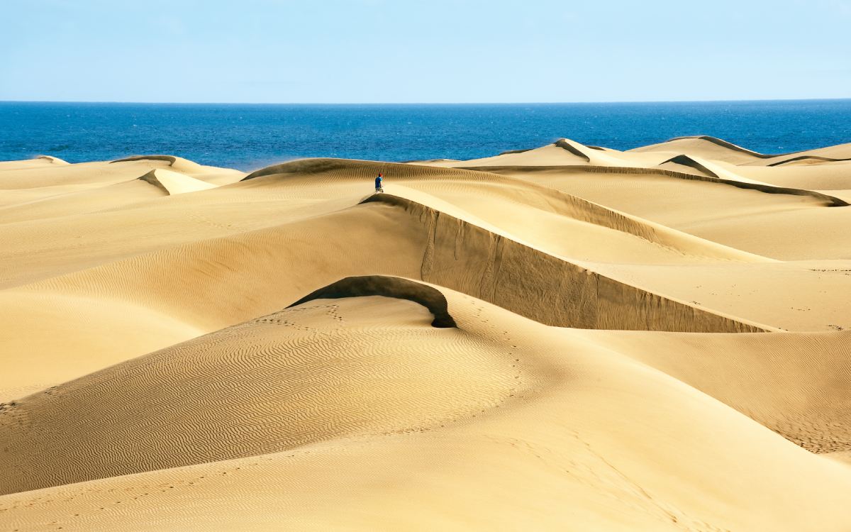 Maspalomas Dunes