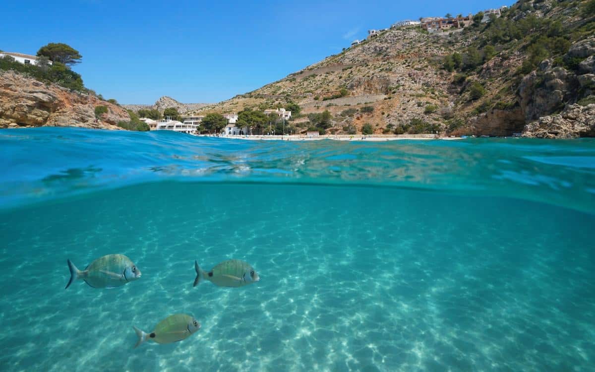 Cala Granadella’s crystal-clear water