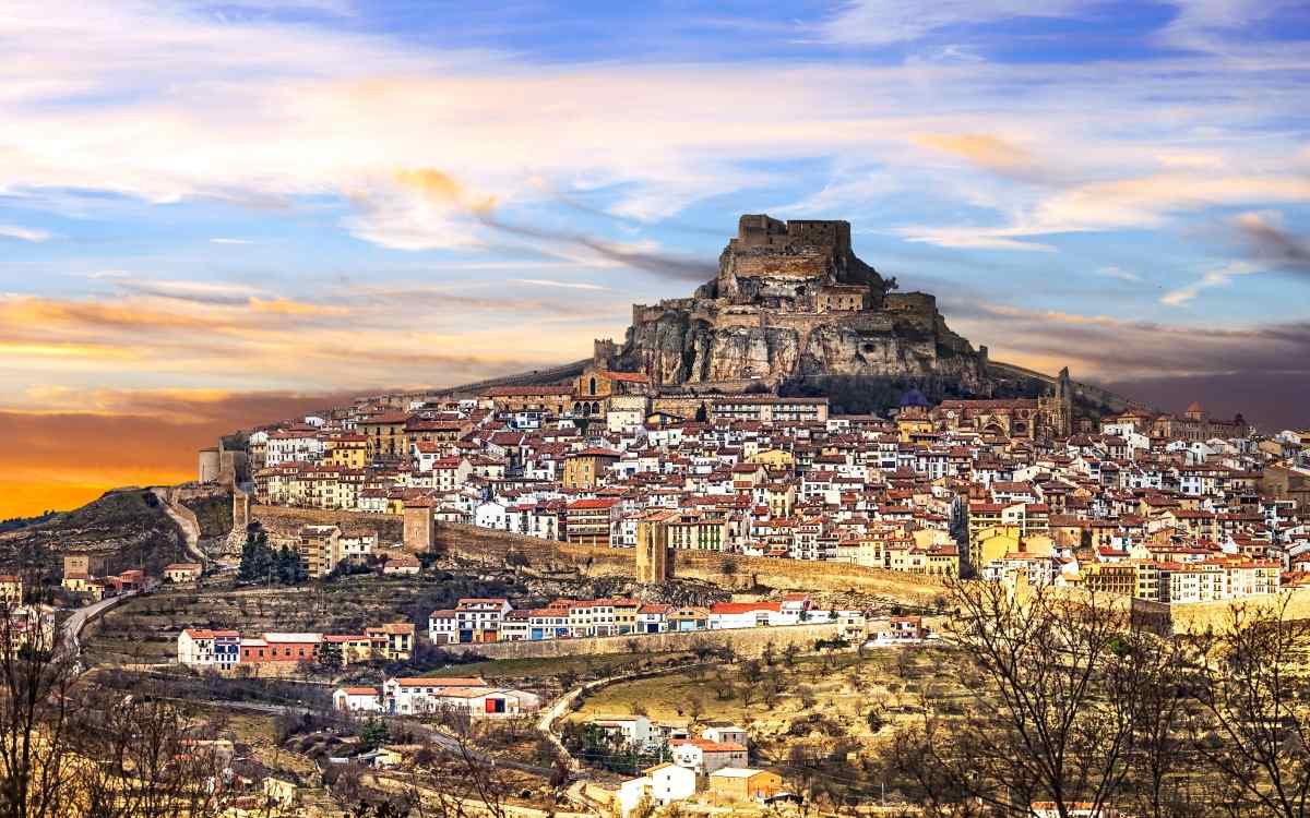 Morella