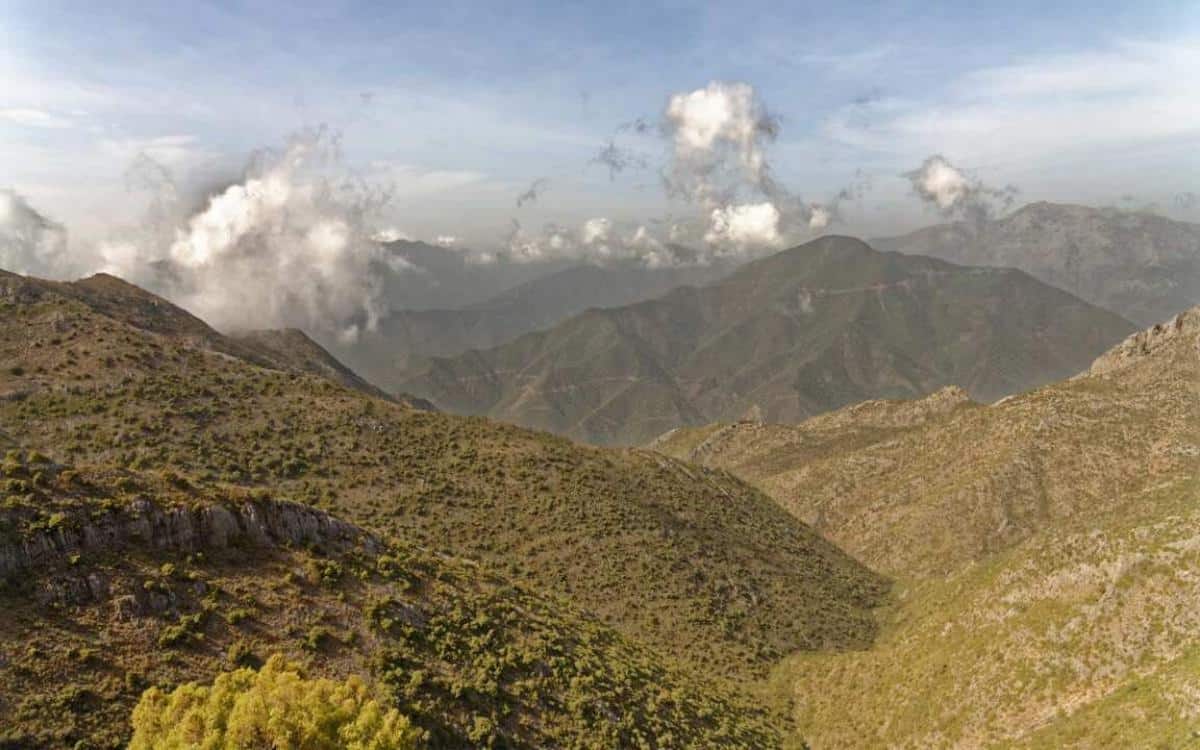 Sierra Blanca