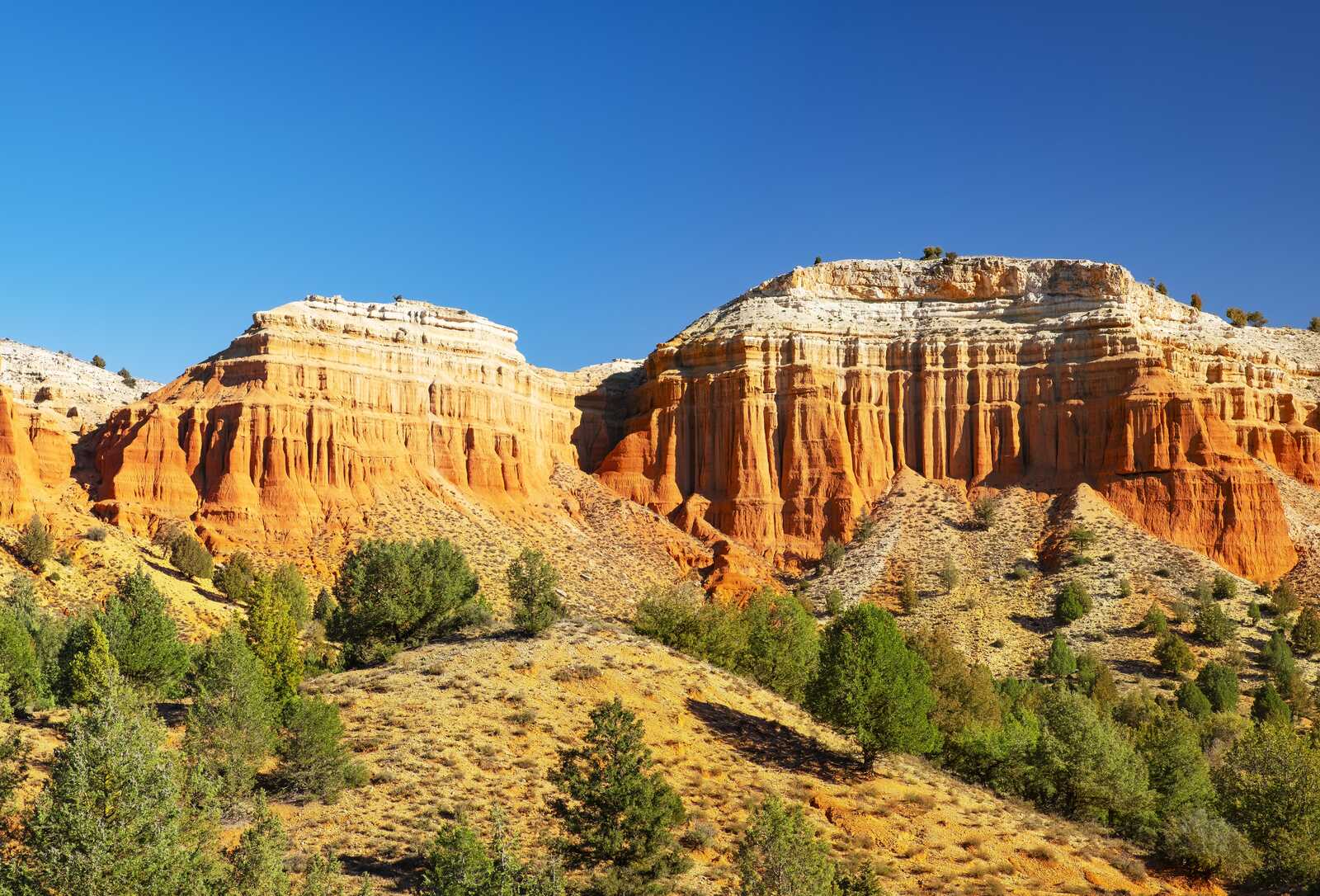 The Rambla de Barrachina. | Shutterstock