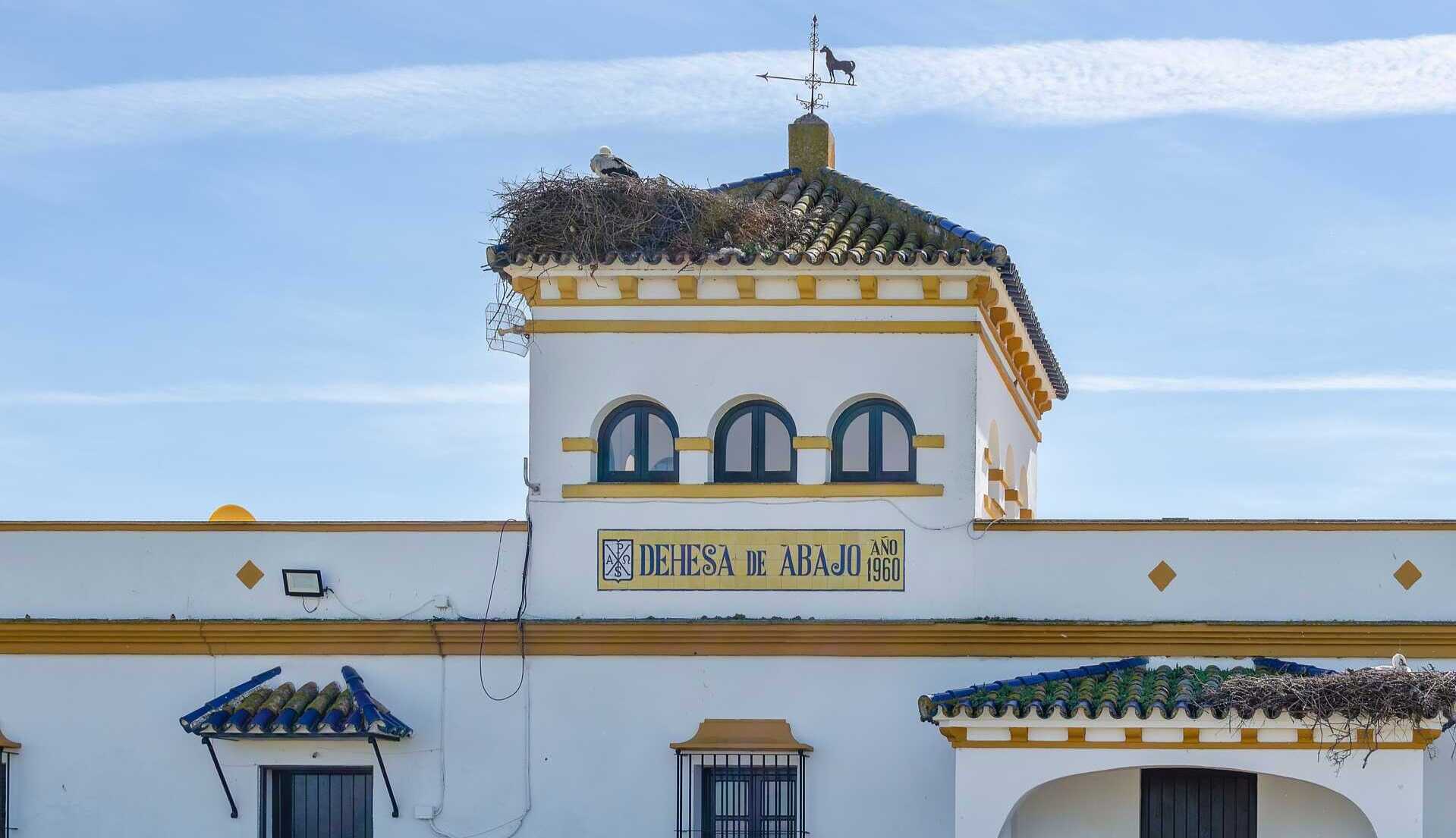 Puebla del Río. | Shutterstock
