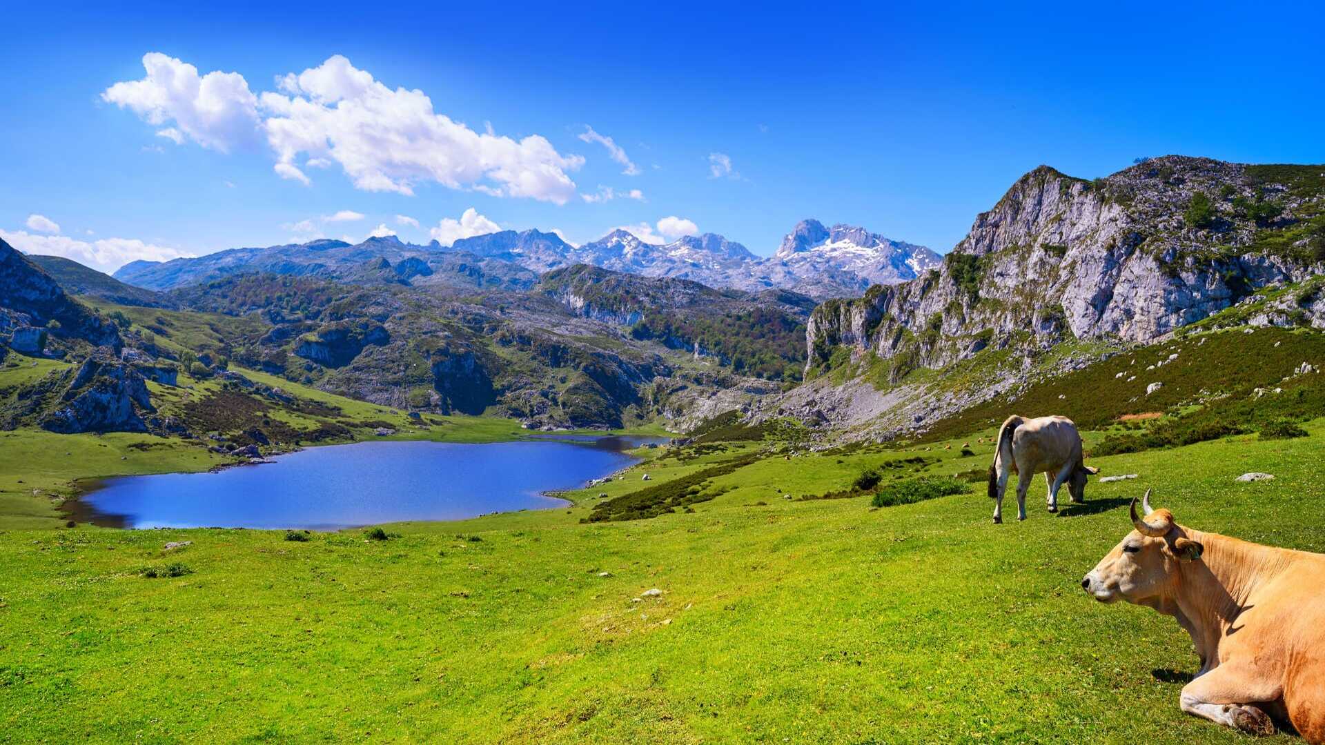 Landscape at the Lakes of Covadonga in Asturias. | Dreamstime
