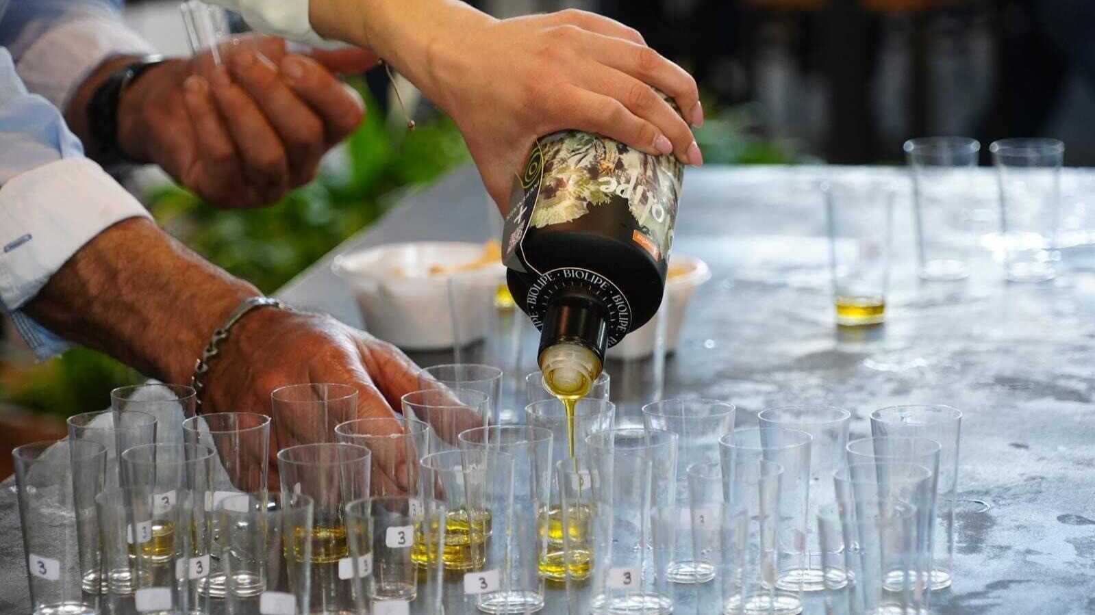 An olive oil tasting in Los Pedroches. | Olipe